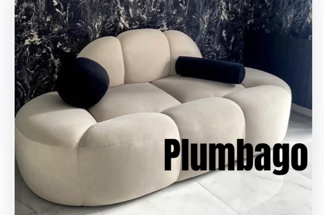 PLUMBAGO